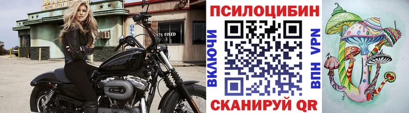 Псилоцибиновые грибы Cubensis  Купить где  Красноармейск 